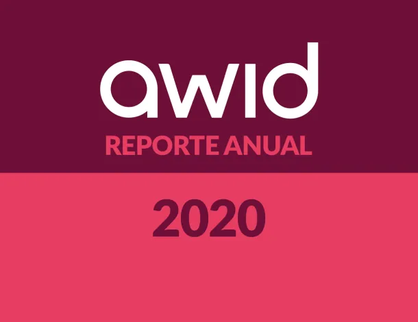 Website-Banners_annual-report-2020-es_0.png