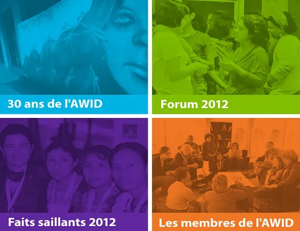 2012_annual_report_-_fr.jpg