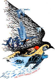 Image showing birds in flight, turtles in the water, and people, with text that reads, "Your nations cannot contain us"