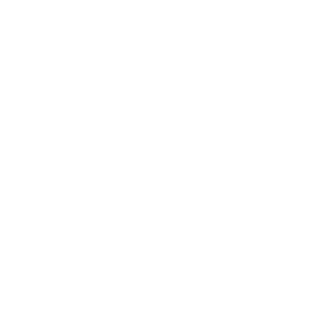 icon-funding-type.png