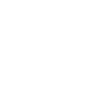 icon-nature-of-funding.png