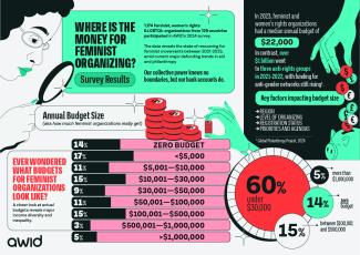 Infographic showing that 60% of feminist groups have budgets under $30,000, 14% have none, and median budget is $22,000, based on a global survey
