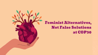 feminist_alternatives_not_false_solutions_at_cop30_en.png