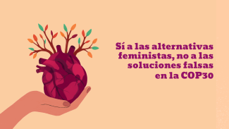 feminist_alternatives_not_false_solutions_at_cop30_es.png