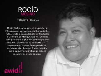 142_roca-o-mesino_fr_.jpg