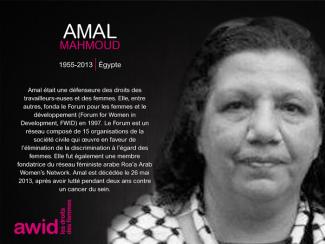 89_ahmal-mahmoud_fr.jpg