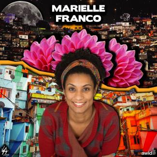 Marielle Franco, Brasil